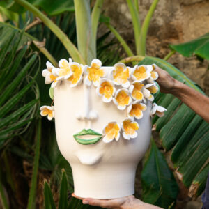 Frangipani, la Pomelia di Palermo