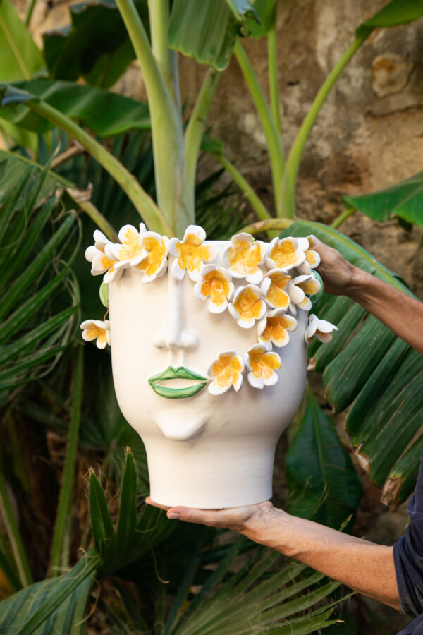 Frangipani, la Pomelia di Palermo