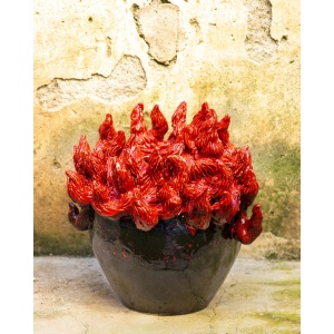Il Fuoco