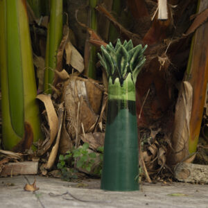 Vaso Palma Alto