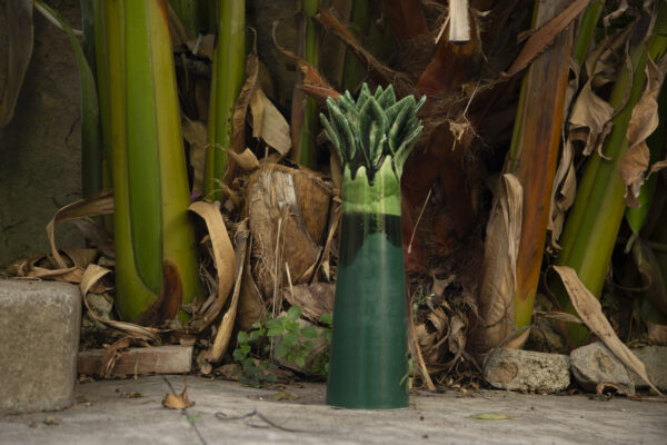 Vaso Palma Alto