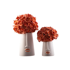 La Rosa in arancio