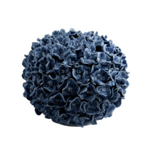 La Rosa in blu